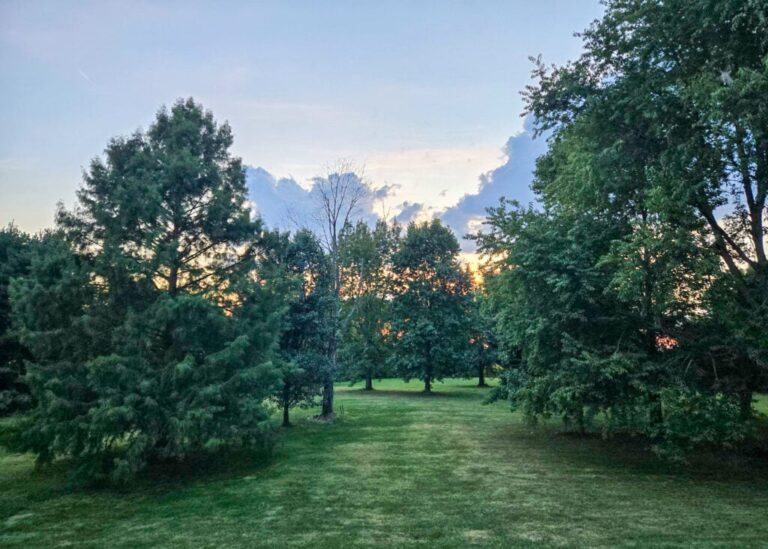 The Little Things Newsletter #488 – Life, laughter, and lots of great food!