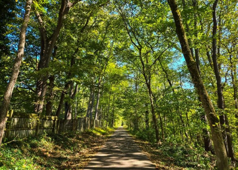 The Little Things Newsletter #489 – Life, laughter, and lots of great food!