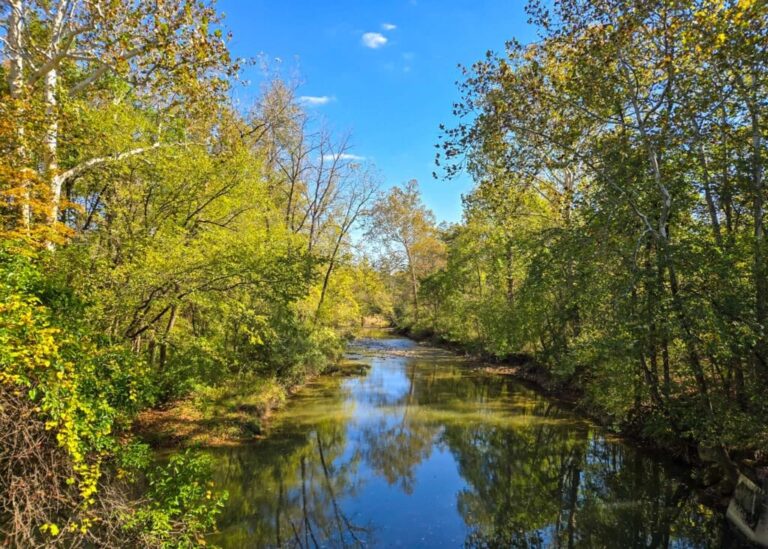 The Little Things Newsletter #490 – Life, laughter, and lots of great food!