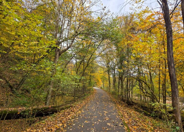 The Little Things Newsletter #492 – Life, laughter, and lots of great food!