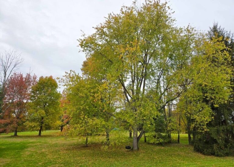 The Little Things Newsletter #493 – Life, laughter, and lots of great food!