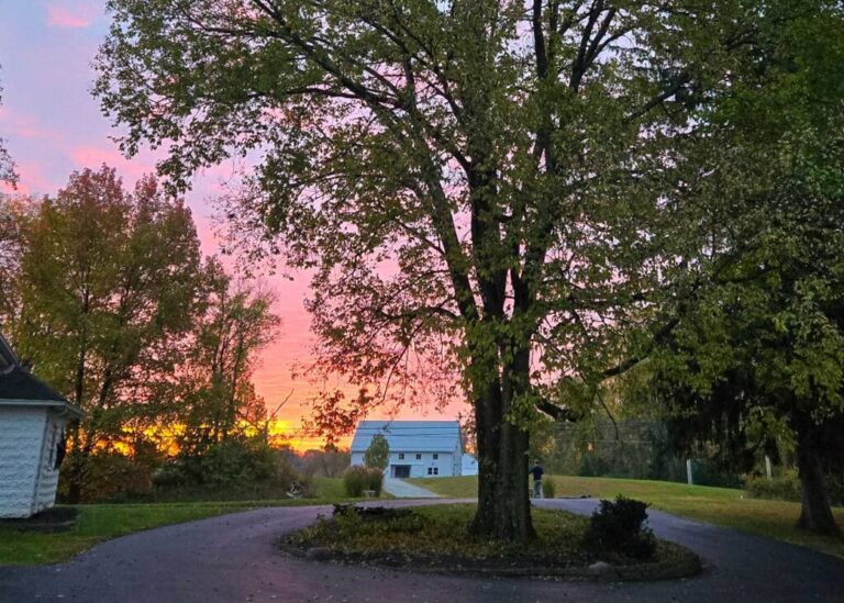 The Little Things Newsletter #494 – Life, laughter, and lots of great food!