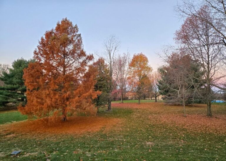 The Little Things Newsletter #495 – Life, laughter, and lots of great food!